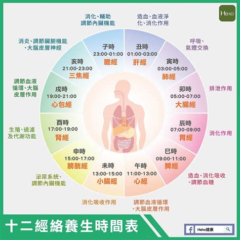 身體時鐘|健康網》生活作息不規律 中醫授5招調節生理時鐘